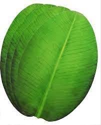 Artificial Paper Banana Leaf